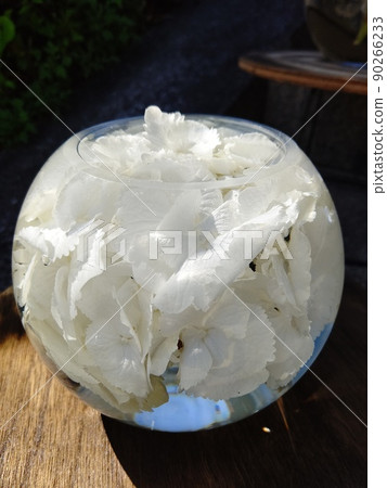 玻璃球中美麗的繡球花，在光和水中發光 90266233