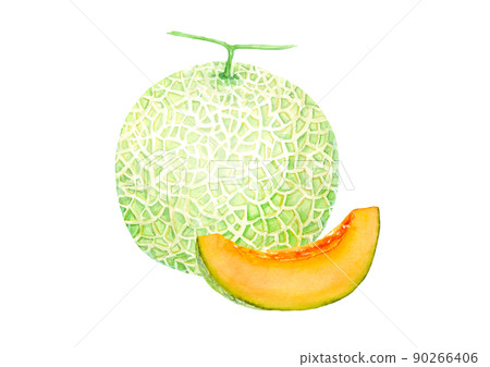 Yubari melon watercolor illustration vector 90266406