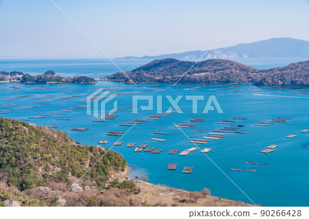 (Okayama Prefecture) Mushiage Sakomon no Akebono (Okayama Prefecture) Mushiage Sakomon no Akebono 90266428