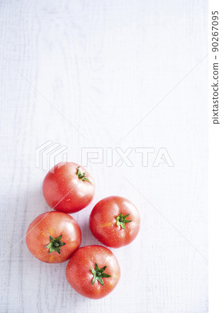 Ripe tomatoes 90267095