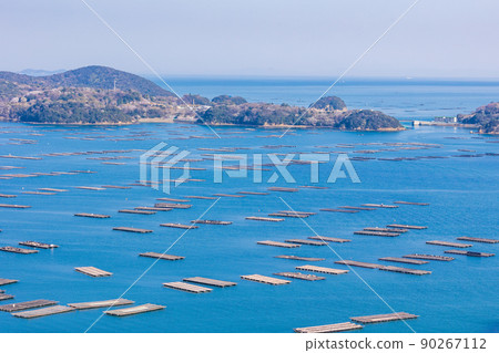 (Okayama Prefecture) Mushiage Sakomon no Akebono 90267112