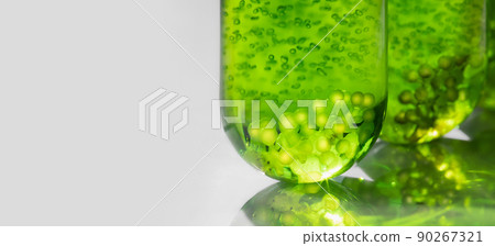 Algae fuel biofuel industry lab researching for alternative to fossil algae fuel or algal biofuel. 90267321