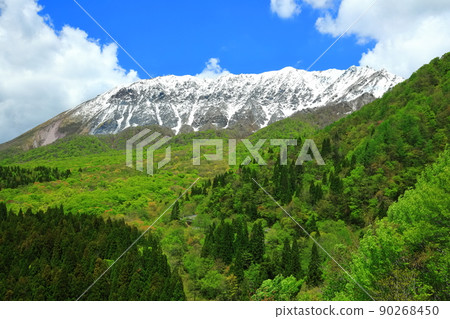 [Tottori Prefecture] Snow-capped Daisen and fresh green as seen from Kagikake Pass 90268450