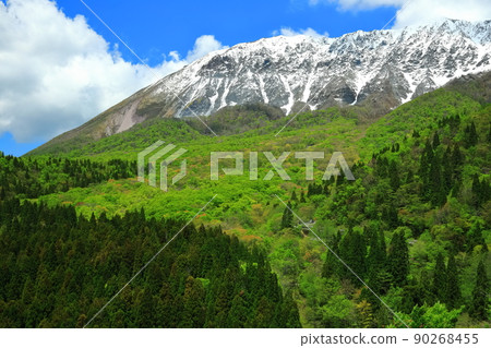 [Tottori Prefecture] Snow-capped Daisen and fresh green as seen from Kagikake Pass 90268455