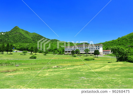 [鳥取縣]天氣晴朗時的鏡火和新鮮的綠色（奧大山） 90268475