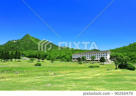 [鳥取縣]天氣晴朗時的鏡火和新鮮的綠色（奧大山） 90268479