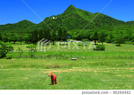 [鳥取縣]天氣晴朗時的鏡火和新鮮的綠色（奧大山） 90268482