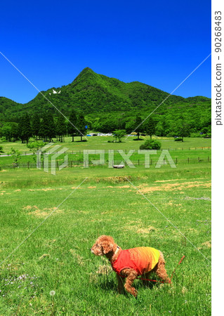 [Tottori Prefecture] Kagamiganaru and fresh green (Oku Oyama) in fine weather 90268483
