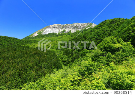 [Tottori Prefecture] Daisen, a fresh green seen from the Kagikake Pass in fine weather 90268514