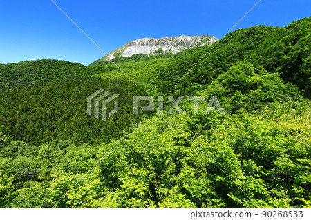 [鳥取縣] 天氣晴朗時從掛壁山口看到的新鮮綠色大山 90268533