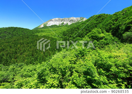 [鳥取縣] 天氣晴朗時從掛壁山口看到的新鮮綠色大山 90268535