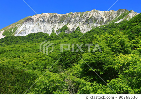 [鳥取縣] 天氣晴朗時從掛壁山口看到的新鮮綠色大山 90268536