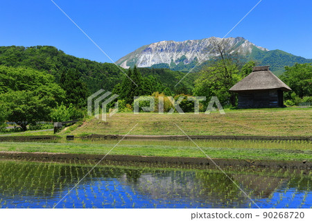 [鳥取縣]大仙和瑞惠的茅草屋在晴朗的天氣裡 90268720
