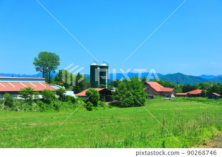 [Okayama Prefecture] Fresh green Hiruzen Plateau (China Shikoku Dairy College) 90268746