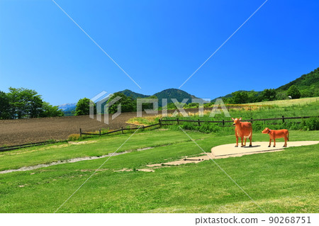 [Okayama Prefecture] Fresh green Hiruzen Plateau (Hiruzen Jersey Land) 90268751