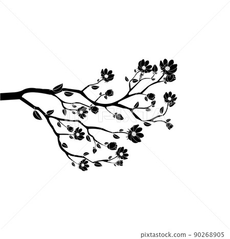 Branch black and white flower isolated on white background. Branch black and white flower isolated on white background. 90268905