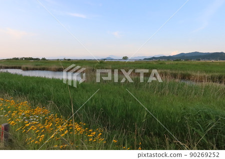 Scenery of Lake Shino in the water town area of Omihachiman City, Shiga Prefecture 90269252