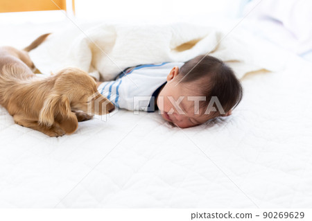 卡尼亨 90269629