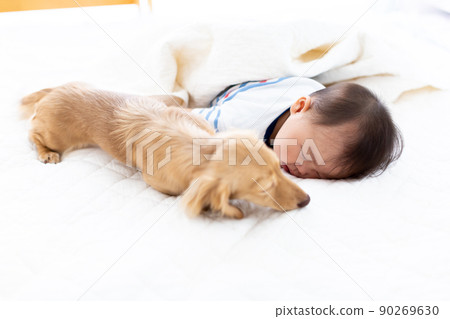 卡尼亨 90269630
