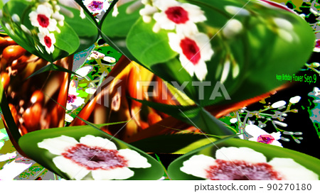 September 9th birth flower Paederia foetida... - Stock Illustration ...