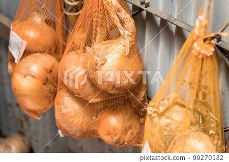 Onions stored in a storage shed in a net bag Onions stored in a storage shed in a net bag 90270182