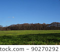 A field 90270292