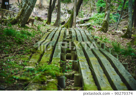 樹林中的木棧道 樹林中的木棧道 90270374