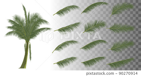 palm branch, coconut leaf palm branch, coconut leaf 90270914