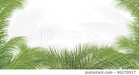 palm branch, coconut leaf, tropical plant palm branch, coconut leaf, tropical plant 90270917