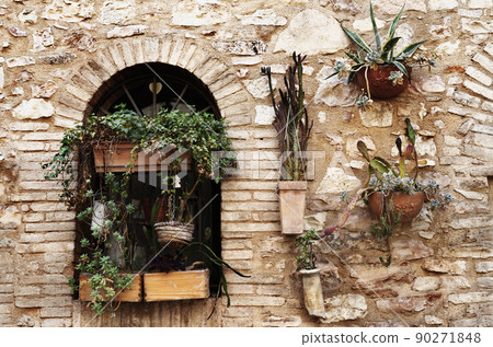 Plants in hanging pots Plants in hanging pots 90271848