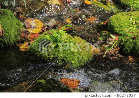 Clear current in the mountains Clear current in the mountains 90272057