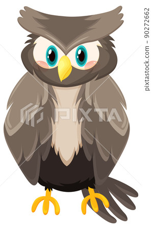 Grey owl bird in cartoon style 90272662