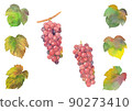 葡萄和葉子 2 90273410