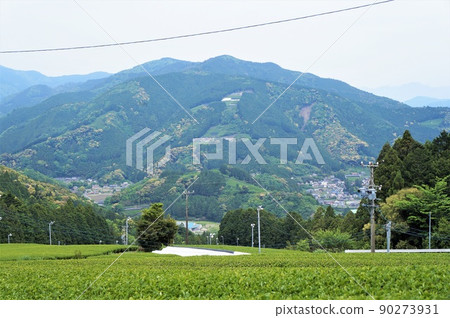 川根町家山茶園和家山風景【掛川川根線遠眺】 川根町家山茶園和家山風景【掛川川根線遠眺】 90273931