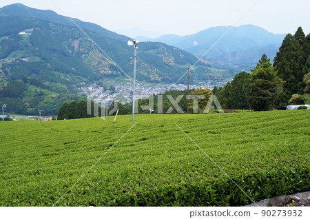 川根町家山茶園和家山風景【掛川川根線遠眺】 川根町家山茶園和家山風景【掛川川根線遠眺】 90273932