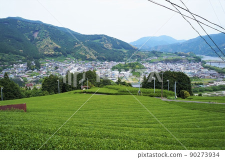 川根町家山茶園和家山街景[掛川川根線遠眺] 90273934