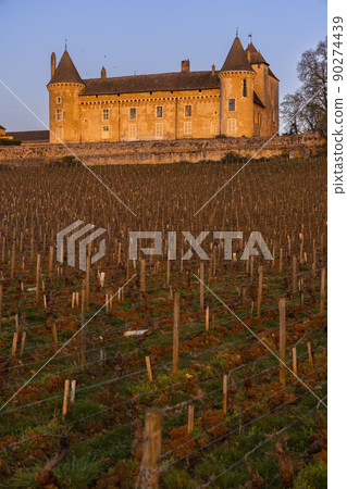Chateau de Rully castle, Saone-et-Loire departement, Burgundy, France 90274439