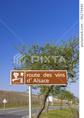 Wine road near Colmar, Alsace, France Wine road near Colmar, Alsace, France 90274440