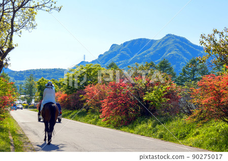 騎馬走路 90275017