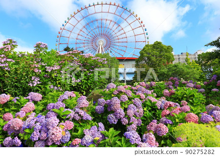 禦台場的繡球花和摩天輪 90275282
