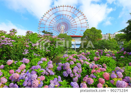 禦台場的繡球花和摩天輪 禦台場的繡球花和摩天輪 90275284
