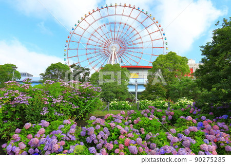 禦台場的繡球花和摩天輪 禦台場的繡球花和摩天輪 90275285