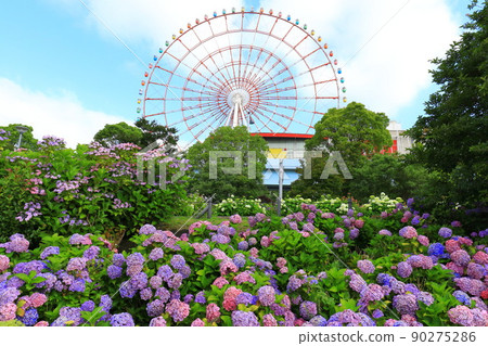 禦台場的繡球花和摩天輪 禦台場的繡球花和摩天輪 90275286