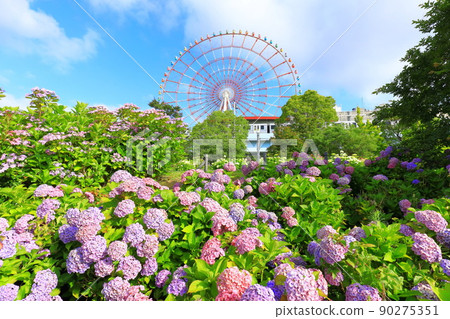 Hydrangea and ferris wheel in Odaiba Hydrangea and ferris wheel in Odaiba 90275351