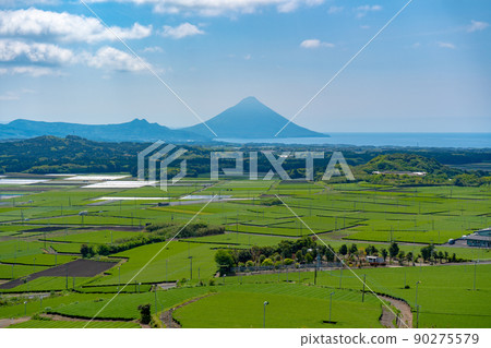 從查巴肯山看到的開聞岳和茶園 從查巴肯山看到的開聞岳和茶園 90275579