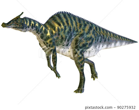 Saurolophus ☆ Saurolophus 90275932