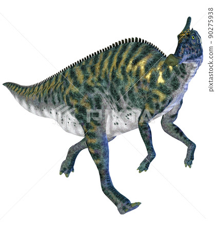 櫛龍 ☆ 櫛龍 90275938