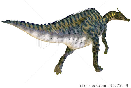 櫛龍 ☆ 櫛龍 90275939