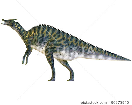 櫛龍 ☆ 櫛龍 90275940