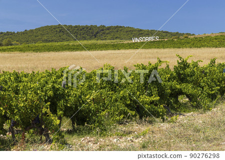 Typical vineyard near Vinsobres, Cotes du Rhone, France Typical vineyard near Vinsobres, Cotes du Rhone, France 90276298